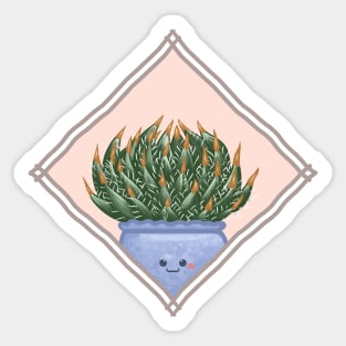 Haworthia Arachnoidea in a Rectangle Frame Sticker